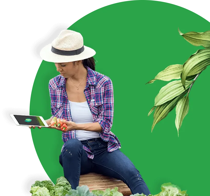Plant Monitoring System