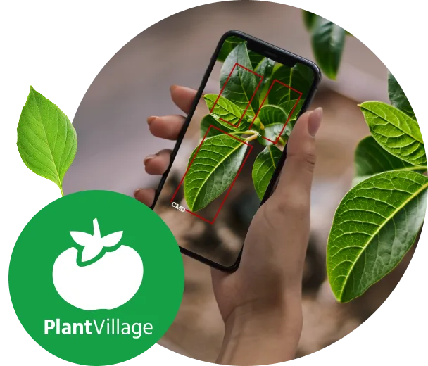 The Future of Farming