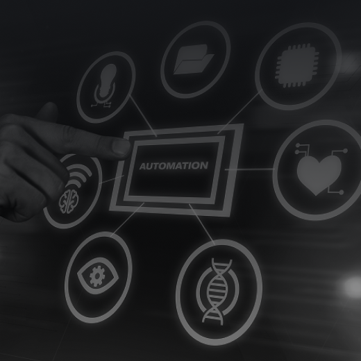 Software Development