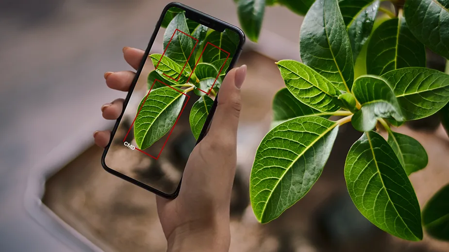 AI-powered Crop Monitoring