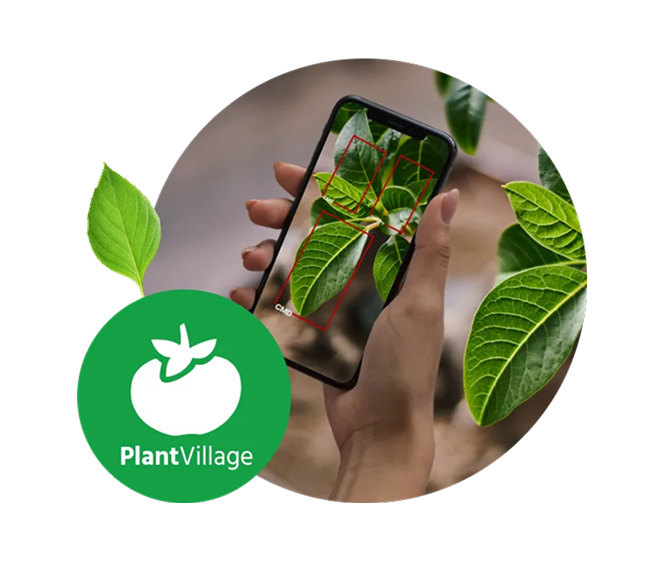 Plant Village — AI-powered Crop Monitoring