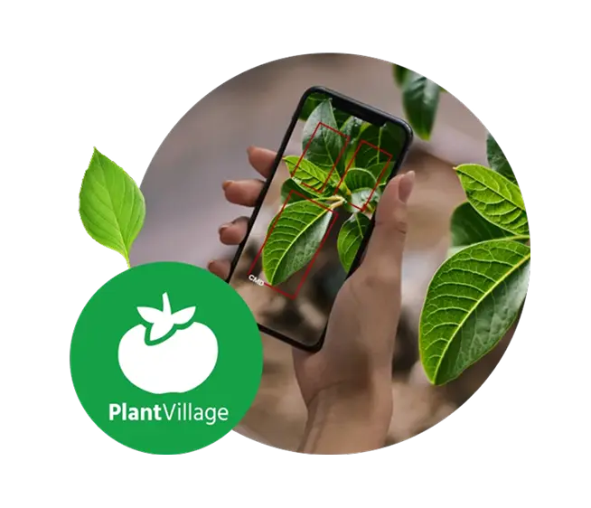 plantvillage_thumbnai