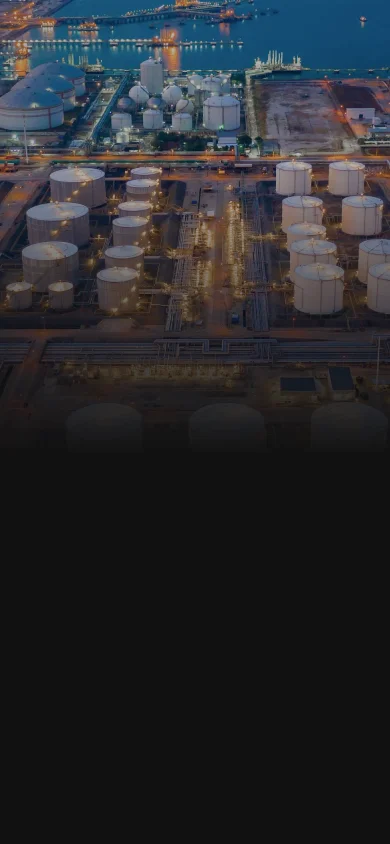 Real Estate Software Development Services