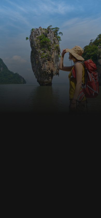 Real Estate Software Development Services