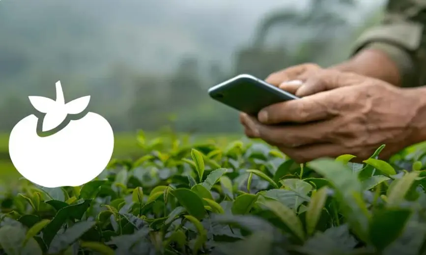 AI for Actionable Insights