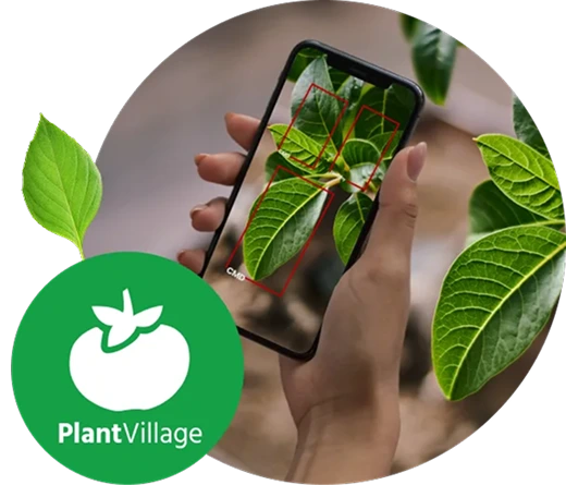 Plantvillage