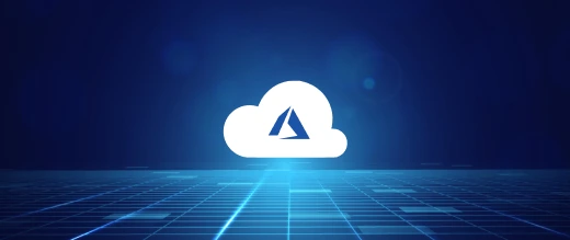 Microsoft Development Services