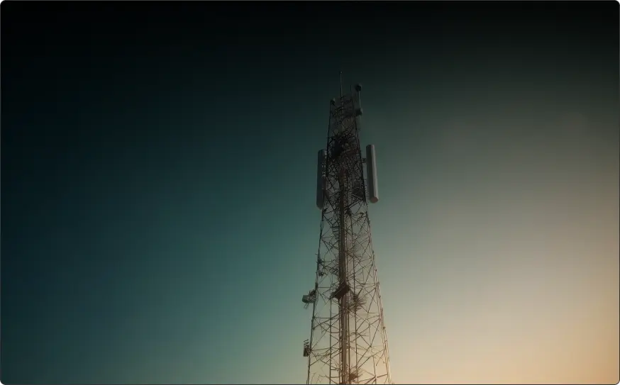 Dom Digital's Future - Case Study